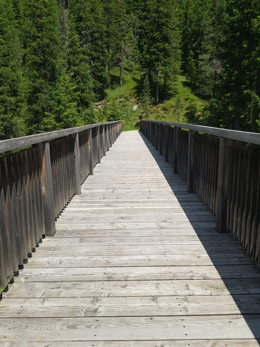Bildergalerie, erstellt durch iwi-webdesign