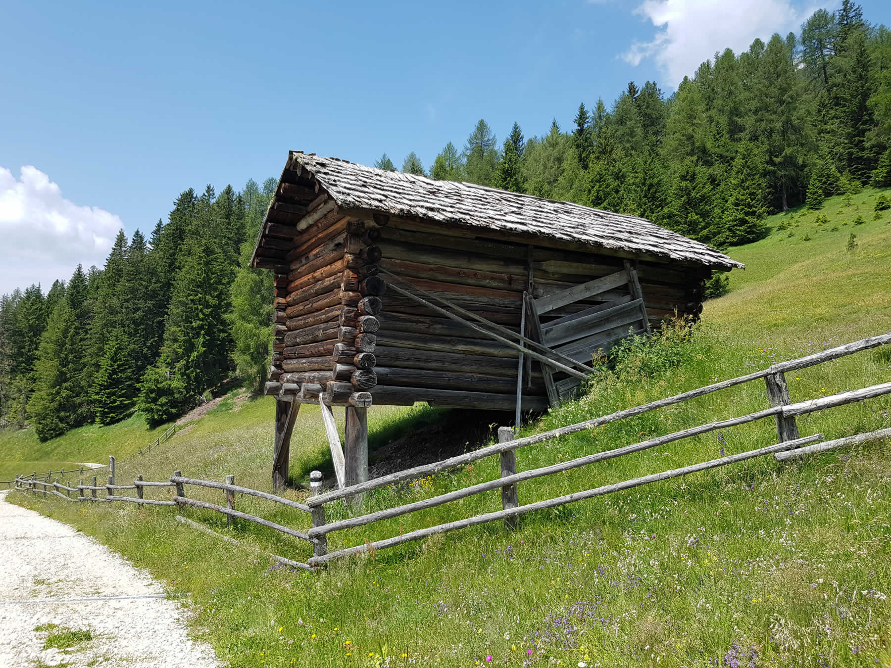 Bildergalerie, erstellt durch iwi-webdesign