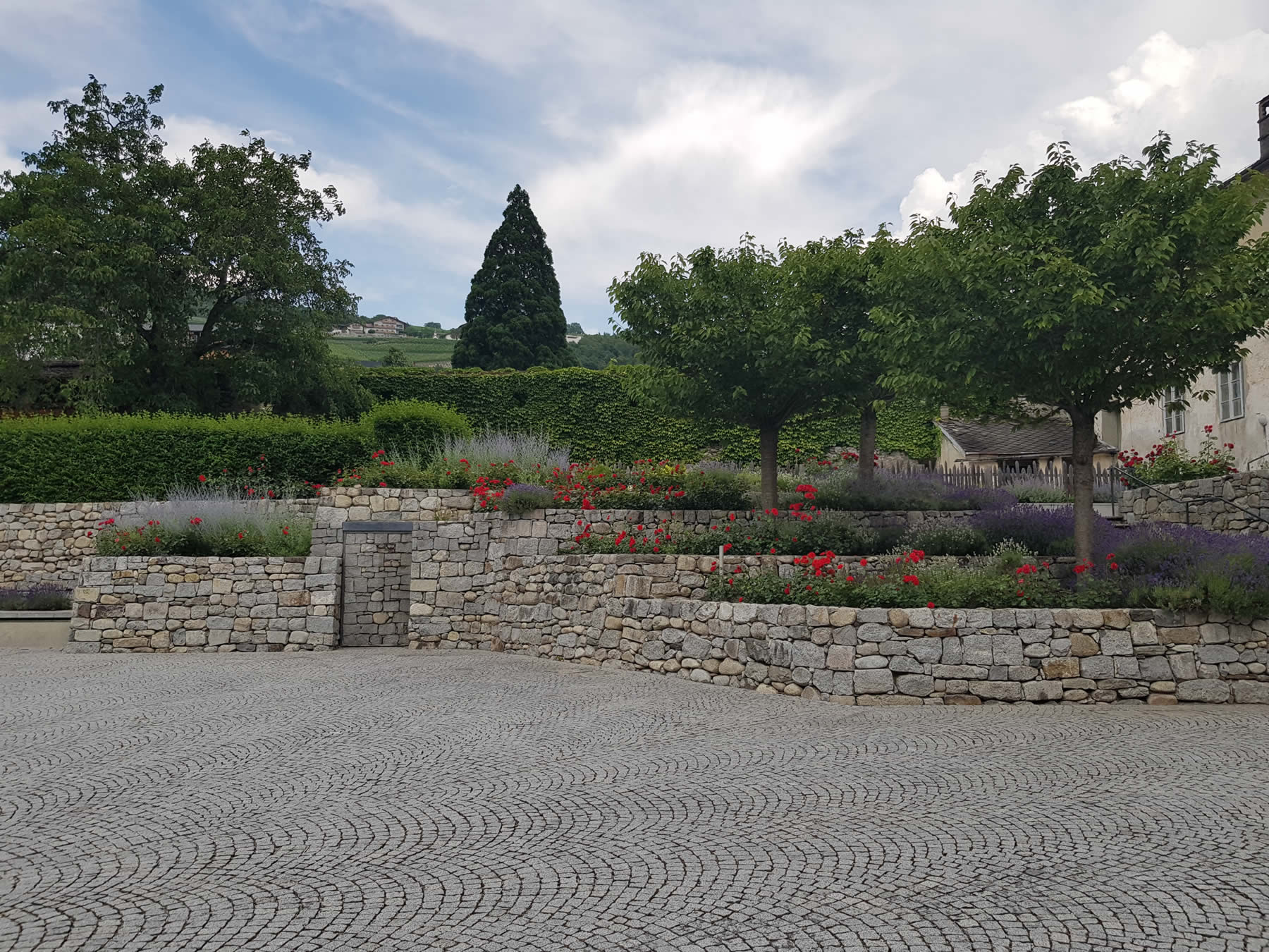 Bildergalerie, erstellt durch iwi-webdesign
