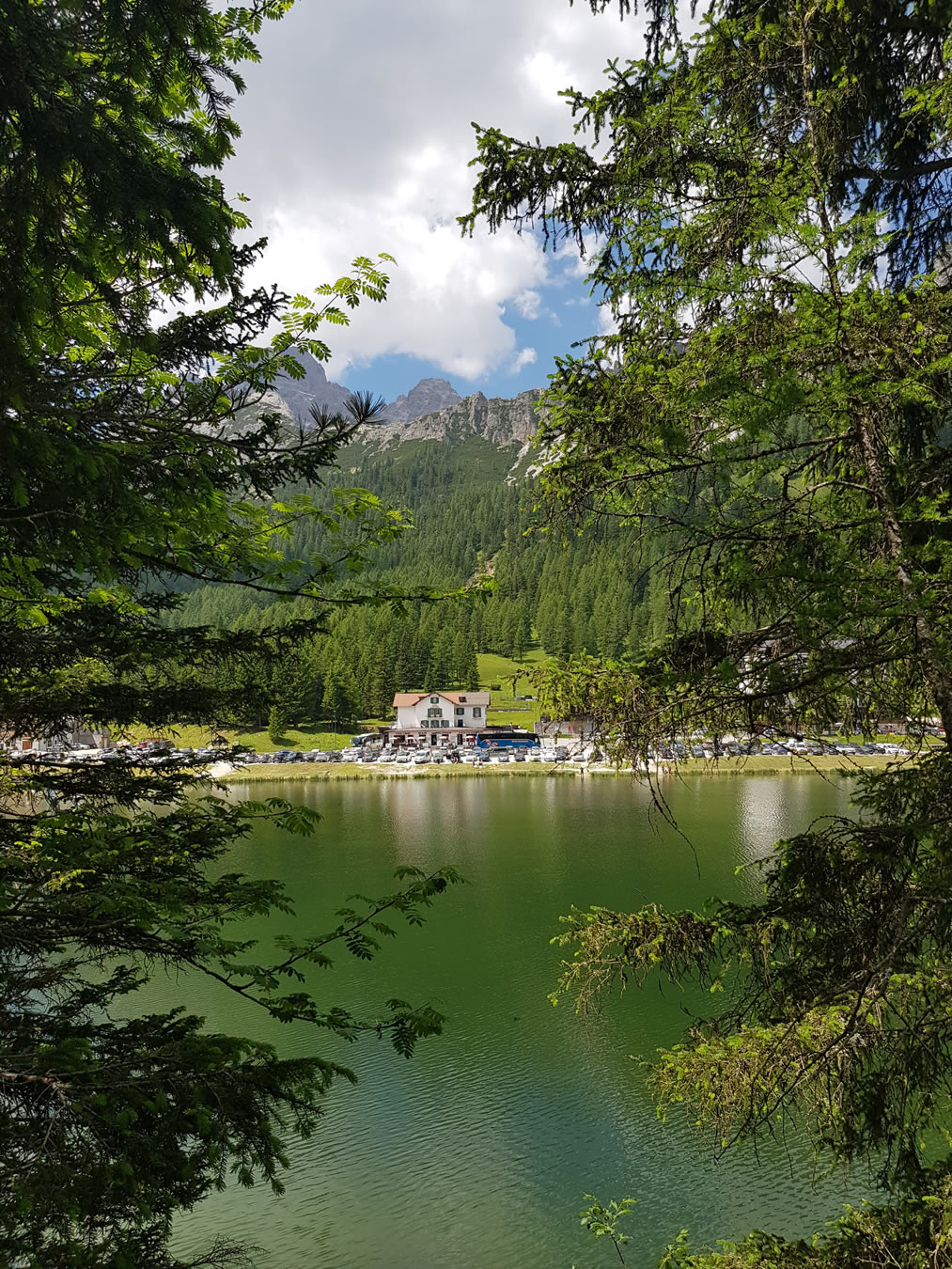 Bildergalerie, erstellt durch iwi-webdesign