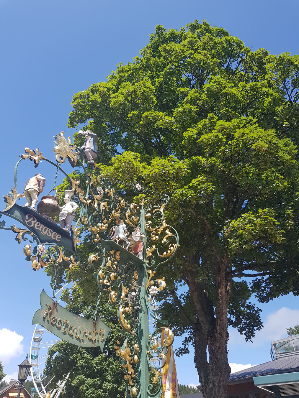 Bildergalerie, erstellt durch iwi-webdesign