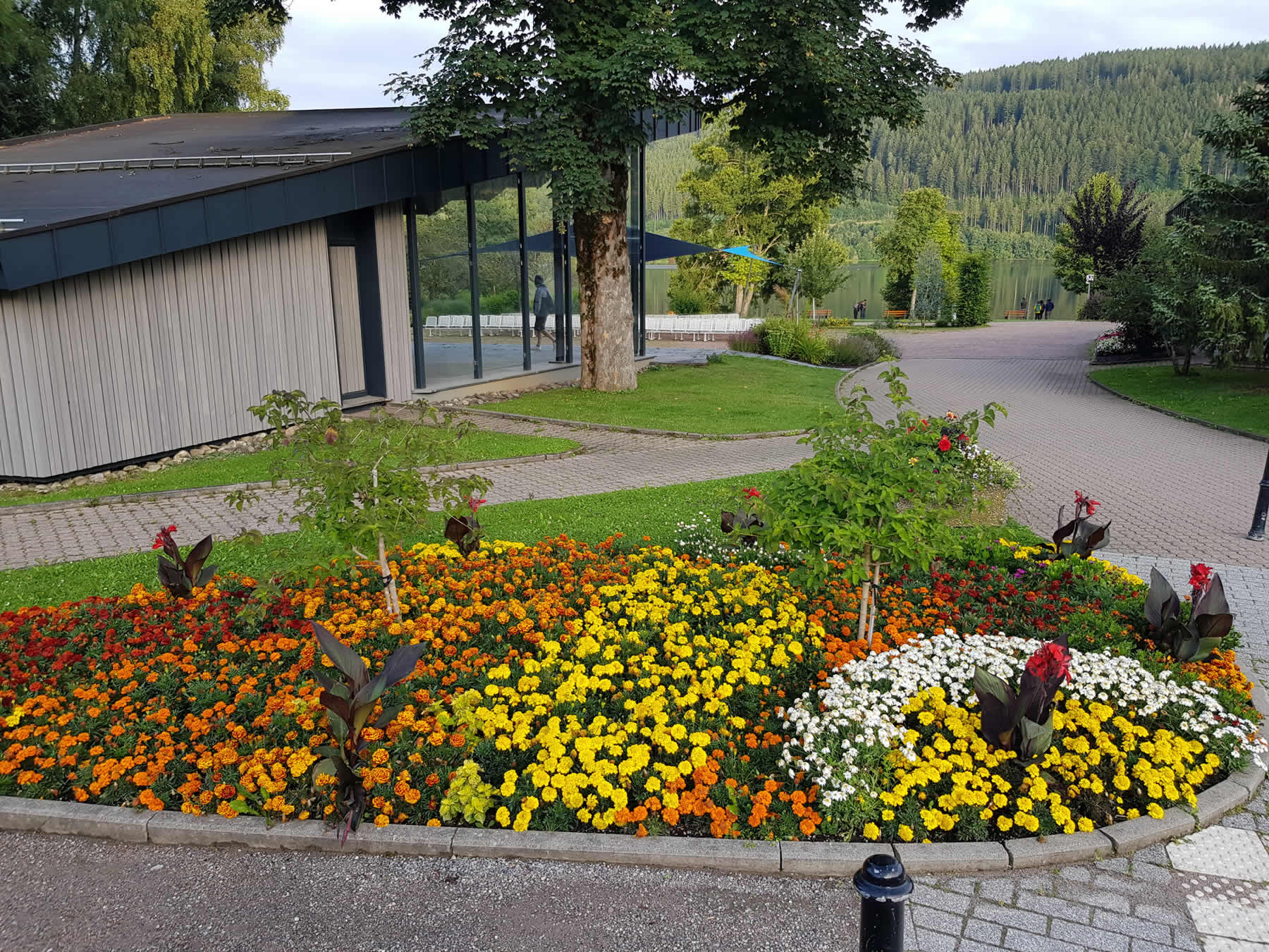 Bildergalerie, erstellt durch iwi-webdesign