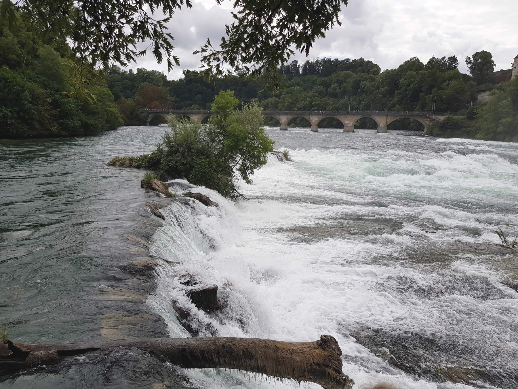 Bildergalerie, erstellt durch iwi-webdesign