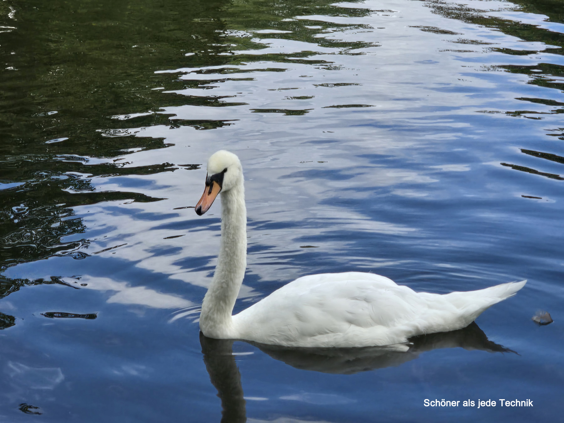 Bildergalerie, erstellt durch iwi-webdesign